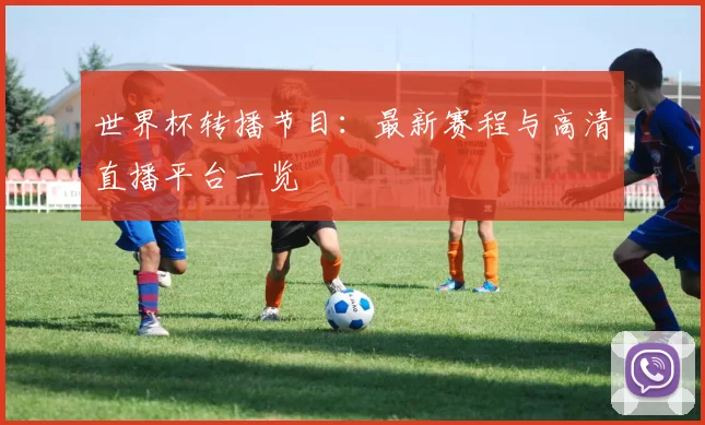 世界杯转播节目:最新赛程与高清直播平台一览