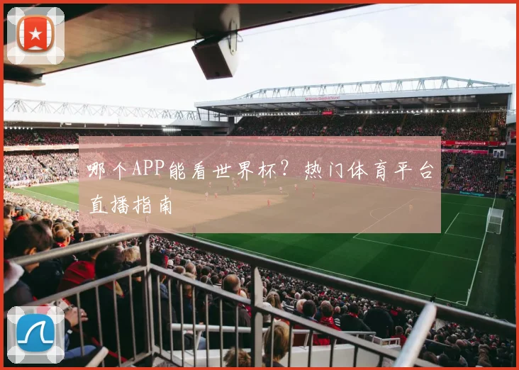 哪个APP能看世界杯？热门体育平台直播指南
