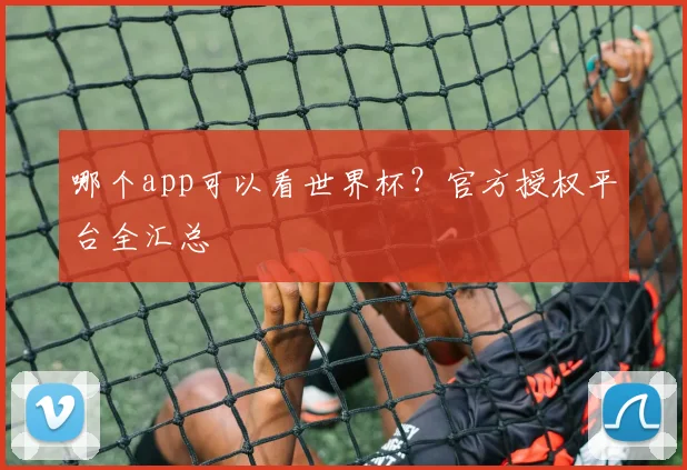 哪个app可以看世界杯？官方授权平台全汇总