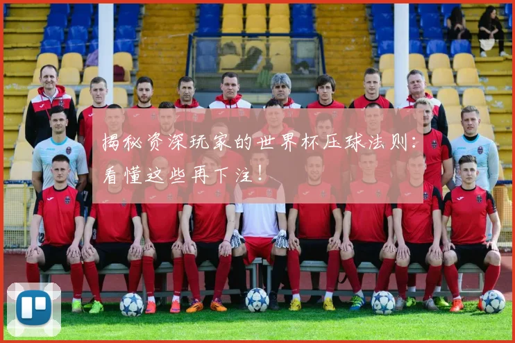 揭秘资深玩家的世界杯压球法则：看懂这些再下注！