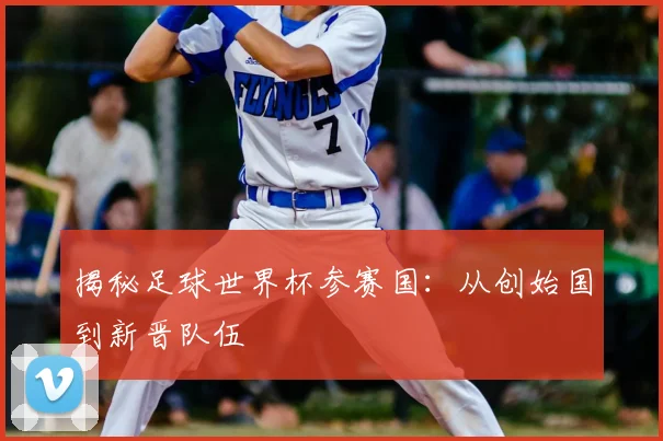 揭秘足球世界杯参赛国：从创始国到新晋队伍