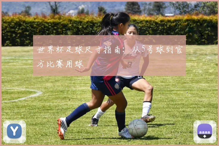 世界杯足球尺寸指南：从5号球到官方比赛用球