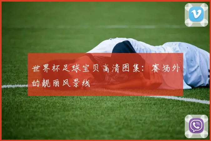 世界杯足球宝贝高清图集：赛场外的靓丽风景线