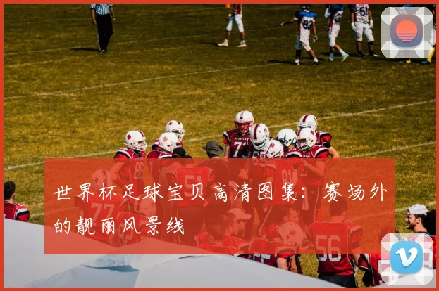 世界杯足球宝贝高清图集：赛场外的靓丽风景线