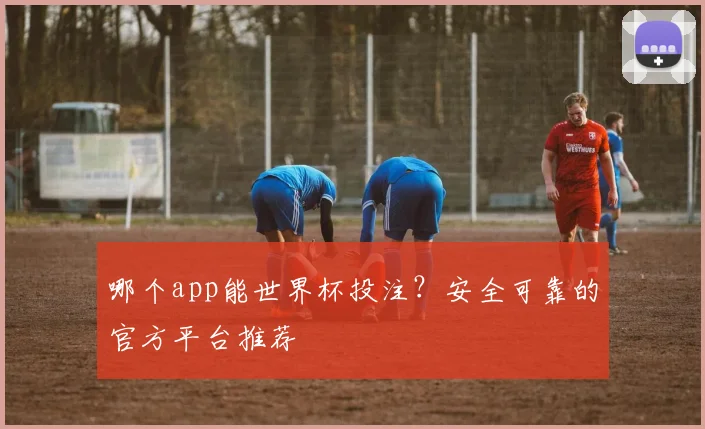 哪个app能世界杯投注？安全可靠的官方平台推荐